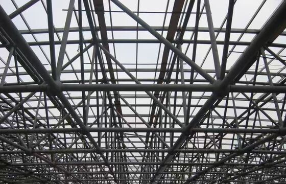 Sleek Design Multi Level Industrial steel Structure Building Strong Strength Customizable