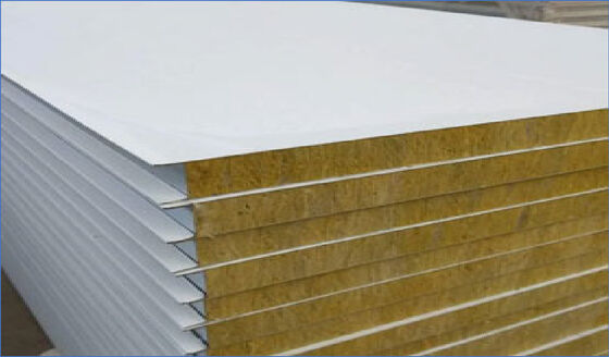 Customizable Thicknesses Rock Wool Cleanroom Wall Panel Fire Resistance