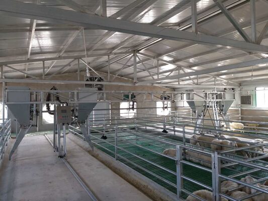 Galvanized Q355B Frame Steel Structure Workshop Steel Livestock Buildings Rapid Assembly