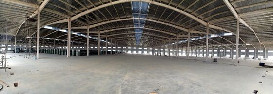 Large-span Column-free Lightweight Steel Structure Warehouse for Durable Storage Solutions