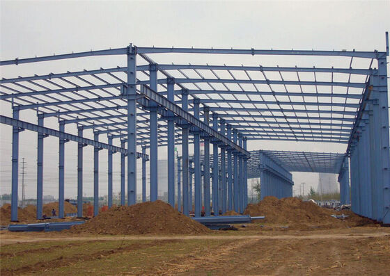 Large-span design high-strength steel cargo area with rapid construction for logistics hubs and storage yards